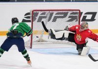 Ассоциацию развития хоккея исламских стран учредили в Казани