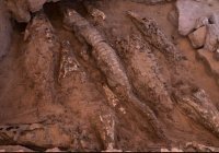 В Египте нашли древнюю гробницу с мумиями крокодилов