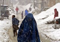 ООН призвала работать с талибами из-за аномальных морозов в Афганистане
