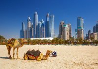 Российский турпоток в Дубай превысил допандемийный уровень