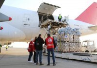 ОАЭ направили в Сирию пять самолетов с гуманитарной помощью