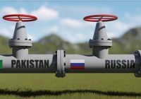 Россия поставит Пакистану первую партию нефти