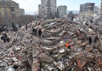 Число жертв землетрясений в Турции перевалило за 50 тысяч
