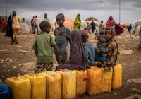 В Сомали 43 тыс. человек погибли из-за засухи