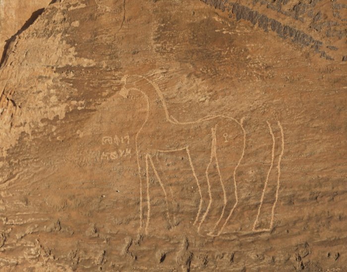 Лошадь с племенным символом. Петроглиф, скала Аль-Наслаа. Фото: saudi-archaeology.com