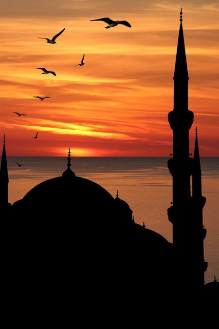 От рассвета до заката: все о милости Аллаха в это время суток (Фото)