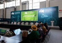 На KazanForum обсудили значение регионального кинопроизводства