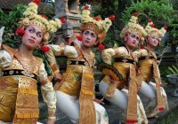 В Москве планируют провести Индонезийский фестиваль