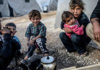 В Дагестан вернули более 350 детей из зон боевых действий на Ближнем Востоке