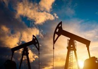 ОАЭ продлит добровольное сокращение нефтедобычи