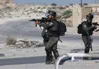 Палестина призвала международное сообщество отреагировать на удары Израиля по Дженину