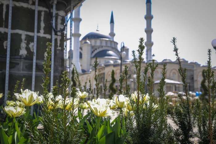 Турецкие мастера начали роспись центрального купола Соборной мечети Крыма