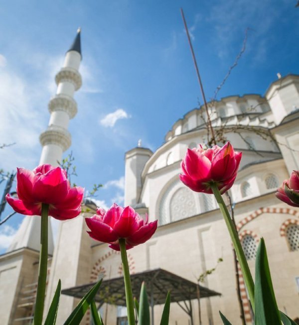 Турецкие мастера начали роспись центрального купола Соборной мечети Крыма
