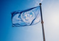 Не менее 38 сотрудников ООН погибли в Афганистане с августа 2021 года