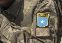 В Сомали ликвидировали более сотни боевиков