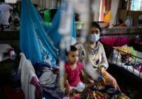В Бангладеш около 800 человек погибли от лихорадки денге