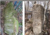 Ученые предложили включить Ново-Татарское кладбище в перечень объектов культурного наследия РТ