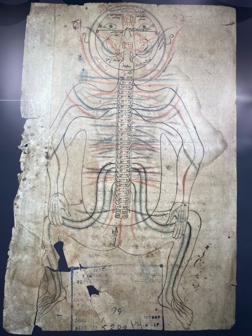 «Ташрих-и бадан-и инсан» («Строение человеческого тела»), или «Анатомия Мансура». Рукопись XVII век.