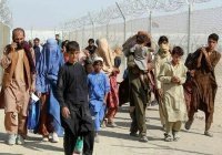 «Талибан» ответил на массовую депортацию афганских беженцев из Ирана и Пакистана 