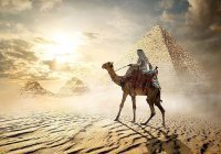 В Садовской Аравии представили фильм о ритуалах хаджа