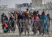 Пакистан депортирует около 1 млн нелегальных иммигрантов к январю 2024 года
