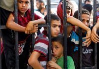 В Дагестане выразили готовность усыновить палестинских детей-сирот