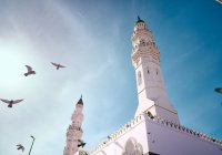В Абу-Даби появится экологически чистая мечеть
