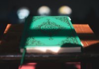 Парламент Дании принял закон о запрете сожжений Корана