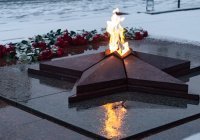 Из России вышлют семьи мигрантов, дети которых потушили Вечный огонь в Петербурге