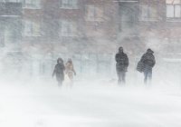 В Казахстане полицейские спасли от мороза более 2 тыс. человек за один день