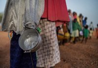 85% населения Африки к югу от Сахары лишены полноценного питания