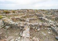 Россия приняла участие в первых археологических раскопках в сирийской Латакии