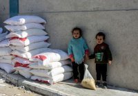 МЧС доставит в Газу еще 20 тонн гуманитарной помощи