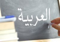 В Рособрнадзоре оценили перспективы введения ЕГЭ по арабскому языку