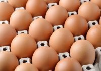 Турция выразила готовность поставлять в Россию яйца в необходимом объеме