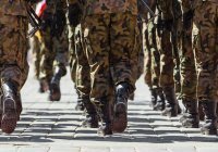 Нигер рассчитывает наращивать военный потенциал совместно с Россией