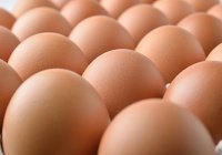 Турция и Азербайджан поставили в Россию 13,3 млн яиц