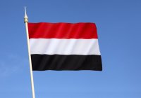 Володин обсудил сотрудничество с премьер-министром Йемена