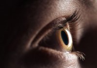 Человеческий глаз – уникальная оптическая система