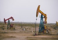 Алжир, Оман, Ирак и ОАЭ продлят сокращение добычи нефти