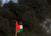 В Каире обсуждают недельное перемирие в Газе