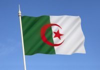 В Алжире пройдут досрочные президентские выборы
