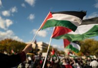 Аббас указал на необходимость предоставления Палестине полноправного членства в ООН