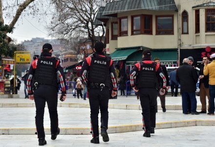 В Турции задержаны 23 подозреваемых в связях с ИГИЛ*