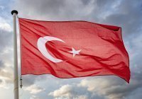 Турция первой из стран ОИС может присоединиться к иску против Израиля