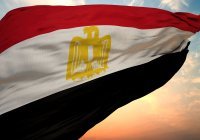 МИД Египта прокомментировал признание Палестины тремя странами Европы