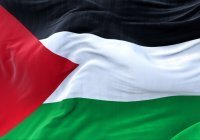 Посол Палестины: БРИКС помогает выстраивать справедливый миропорядок