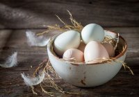 Яйца со знаком «Халяль»: что это значит?