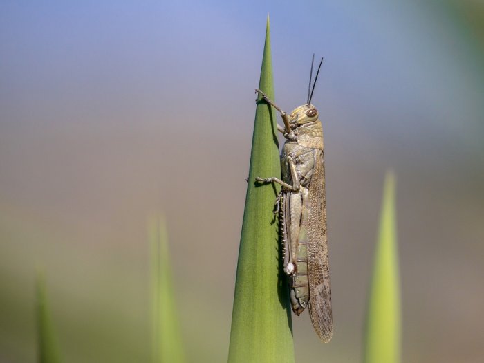 Фото: CreativeNature_nl / shutterstock.com/ru.