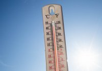 В Узбекистане - аномальная жара
